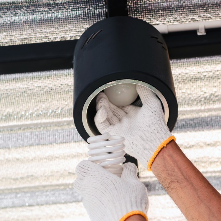 Electrical Services in Bailey, CO